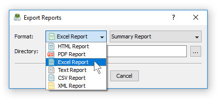 DiskSavvy Batch Reports Format